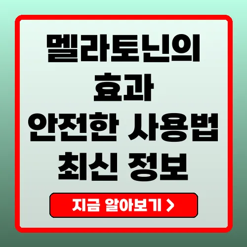 멜라토닌의 효과와 안전한 사용법 총정리