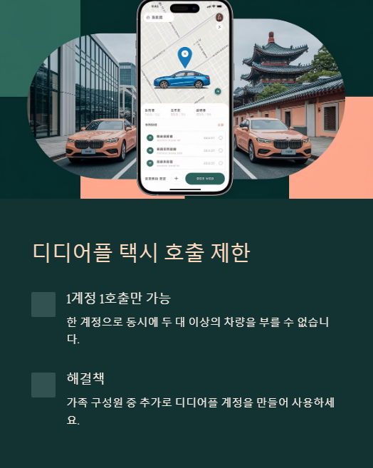 디디어플 택시 호출 제한