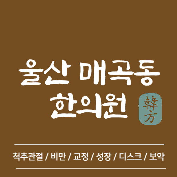 울산 북구 매곡동 한의원 추천 TOP5 양심 한의원 유명한 곳
