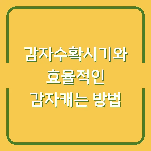감자수확시기와 효율적인 감자캐는 방법