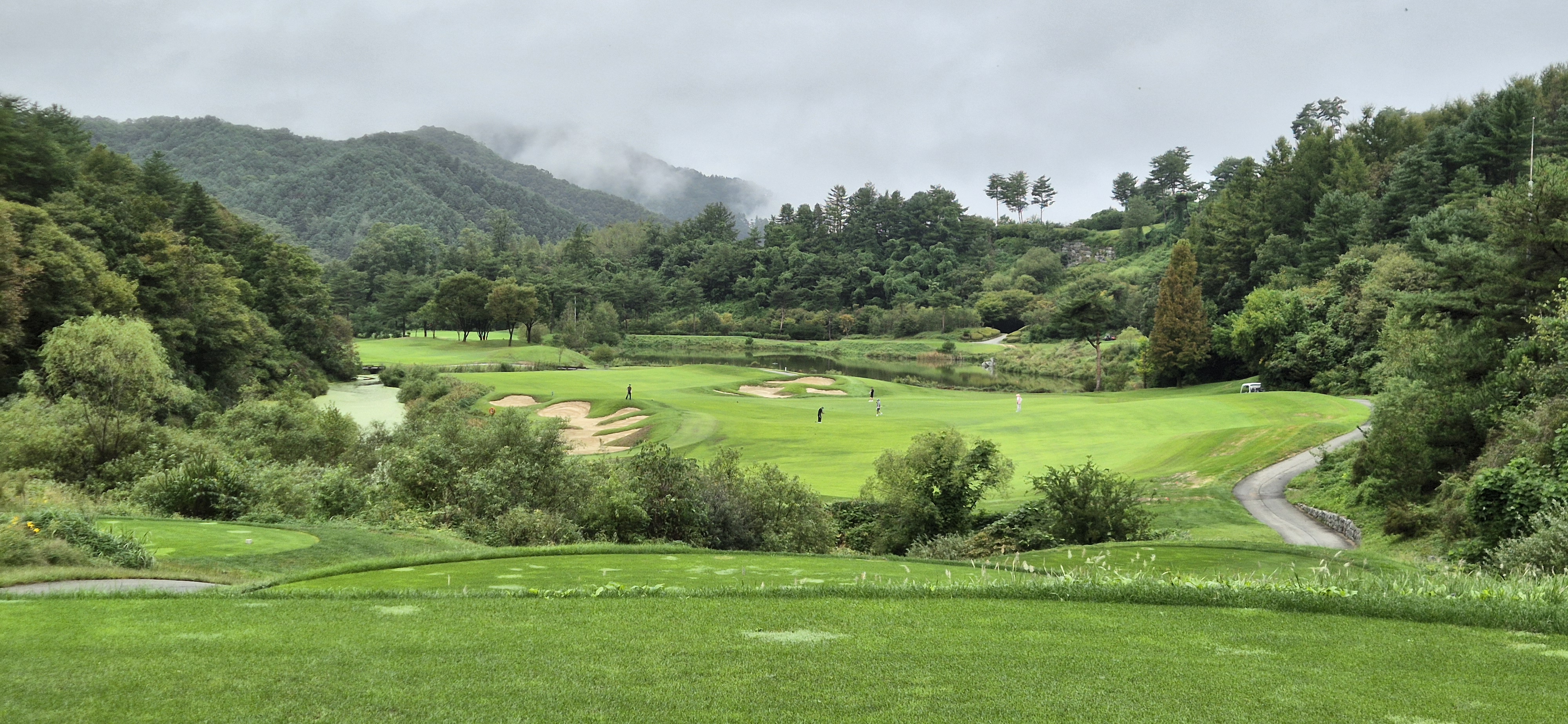 더플레이어스cc