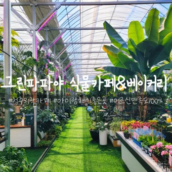 아이 있는 집 식물선택 가시없는종류 배치높이 관리 요령_13