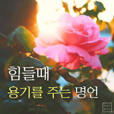 힘들때 용기를 주는 명언 꽃 이미지