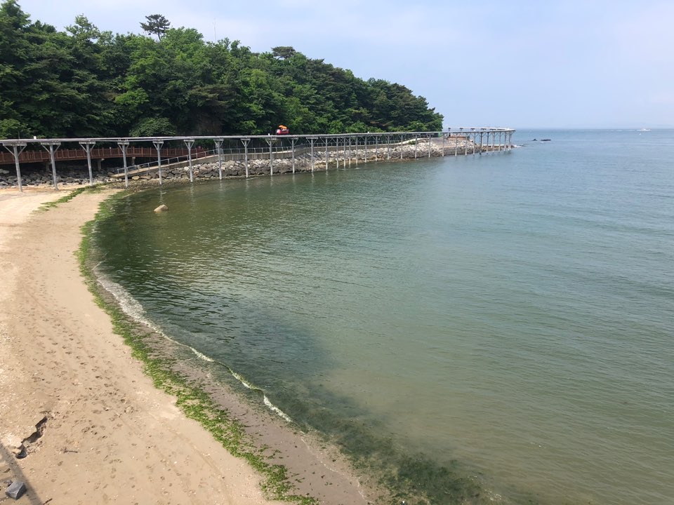 대천 스카이바이크 예약