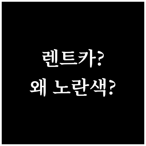 장기렌트카 번호판, 왜 노란색일까? ..