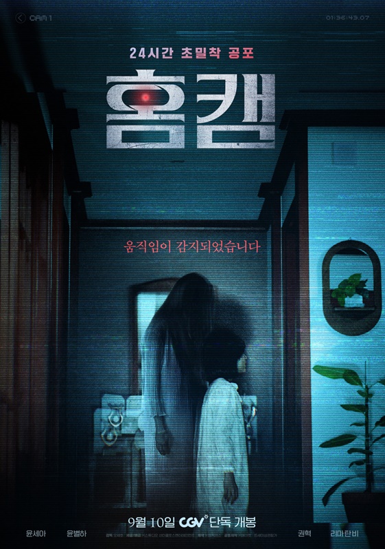 홈캠 관련 사진