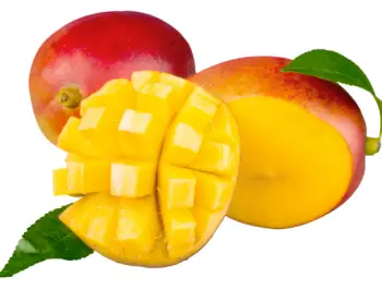 애플 망고 가격 및 효능&amp;#44; 영양성분