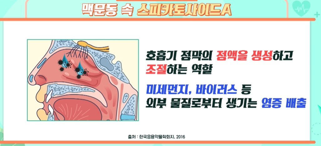 맥문동 효능