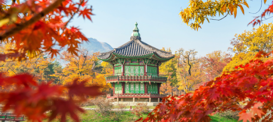 국내여행 한국의 아름다운 여행지