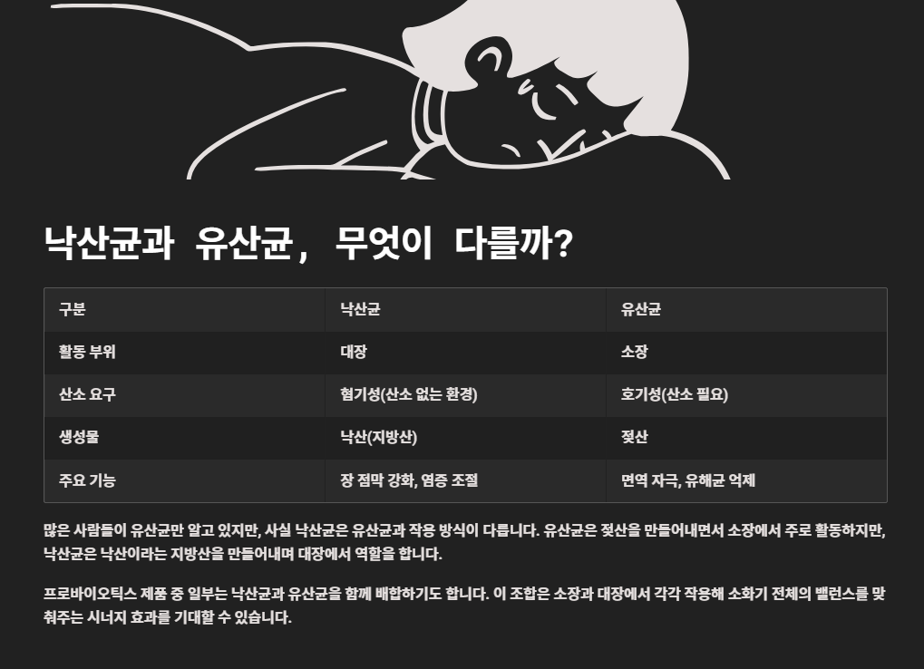 낙산균 효능부터 프로바이오틱스, 포스트바이오틱스까지 총정리 (장 건강 필수 가이드)