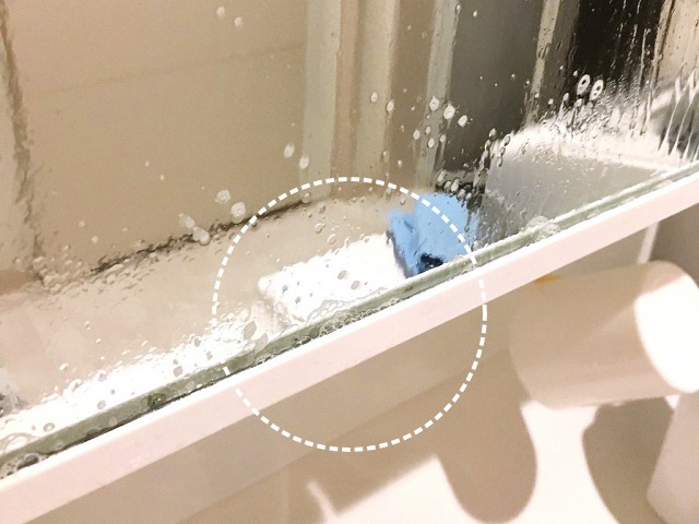 욕실 거울 곰팡이 제거법,팁줌