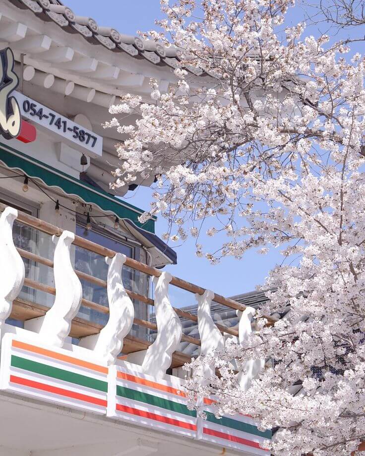 경주 가볼만한곳 베스트 10