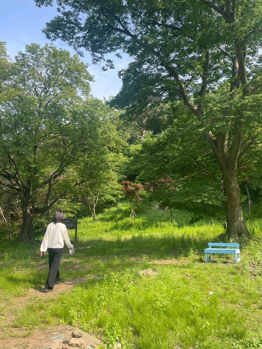 전등사