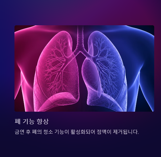 폐 기능 향상