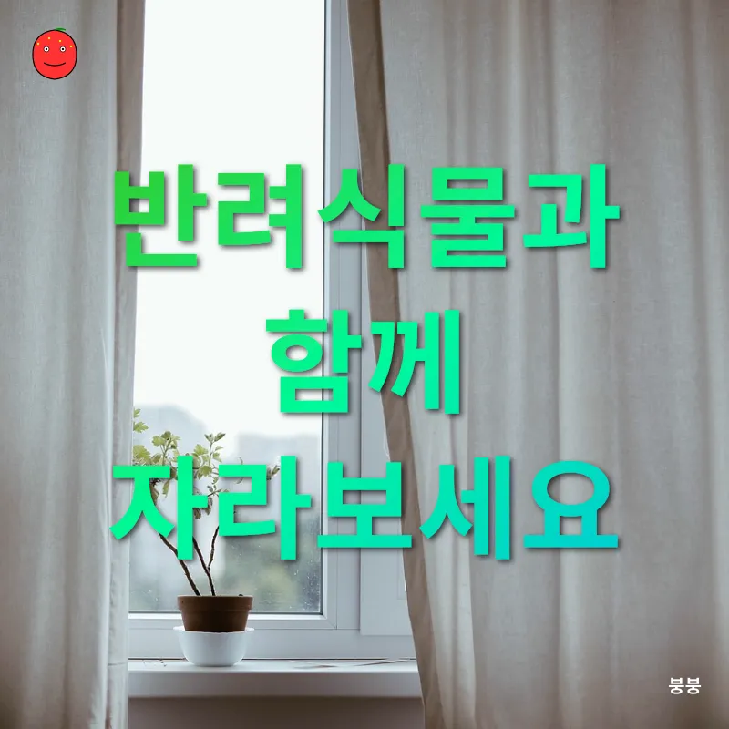 실내 반려식물 관리_3