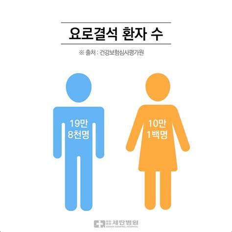 요로 결석 보험