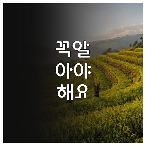 광진구 2025 무료 셔틀버스 이동 ..