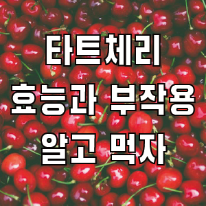 타트체리 효능과 부작용 알고 먹자