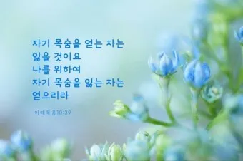 힘이되는 성경말씀 축복 성경말씀 좋은 성경구절 BEST5_13