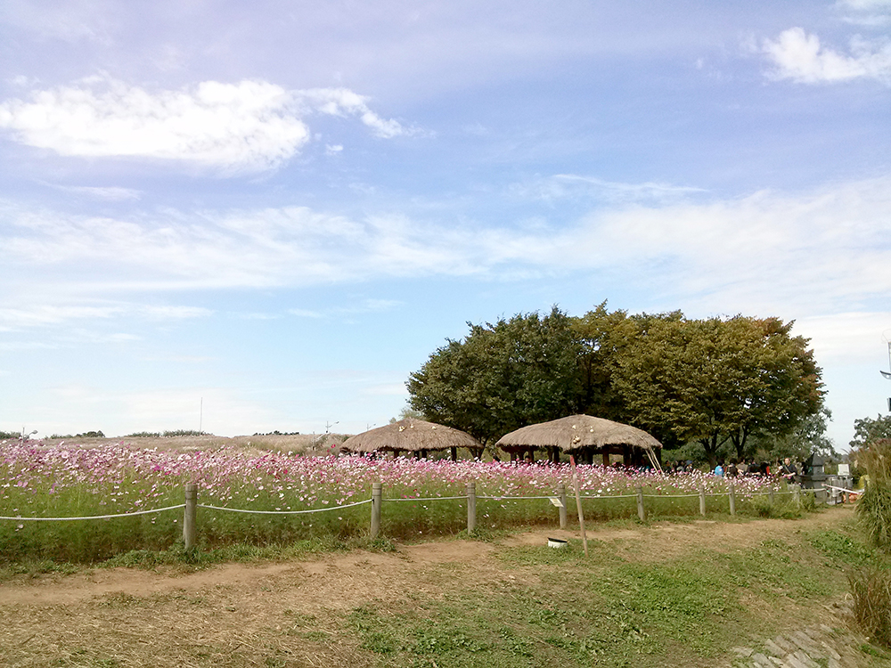 노을공원에서 하늘공원까지 