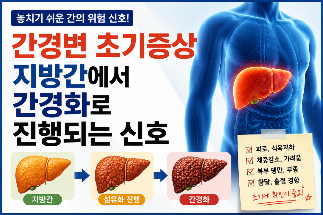 간경변 초기증상 ❘ 지방간에서 간경화로 진행되는 신호