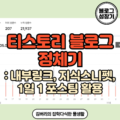 블로그 정체기