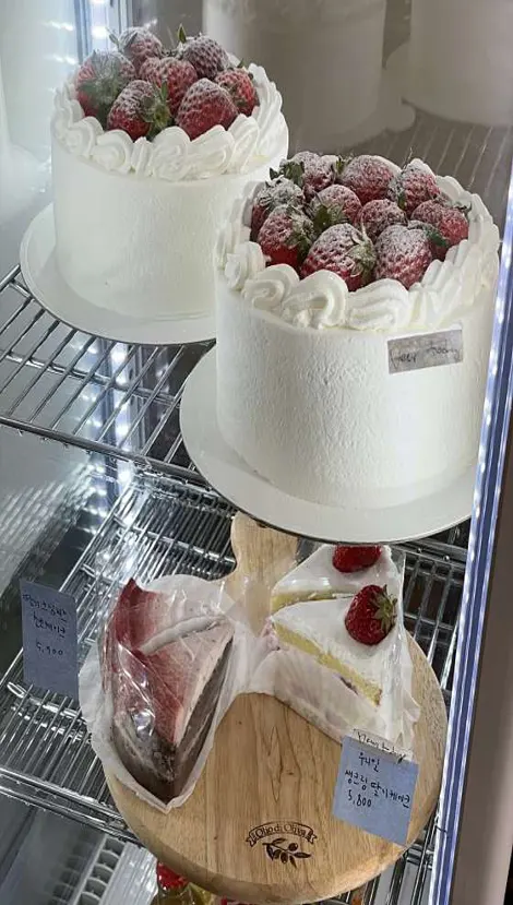 오늘의선물