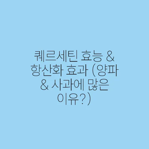 퀘르세틴 효능 & 항산화 효과 (양파 & 사과에 많은 이유?)