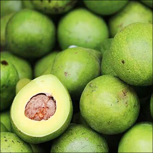 아보카도가 잔뜩 쌓여있는 모습