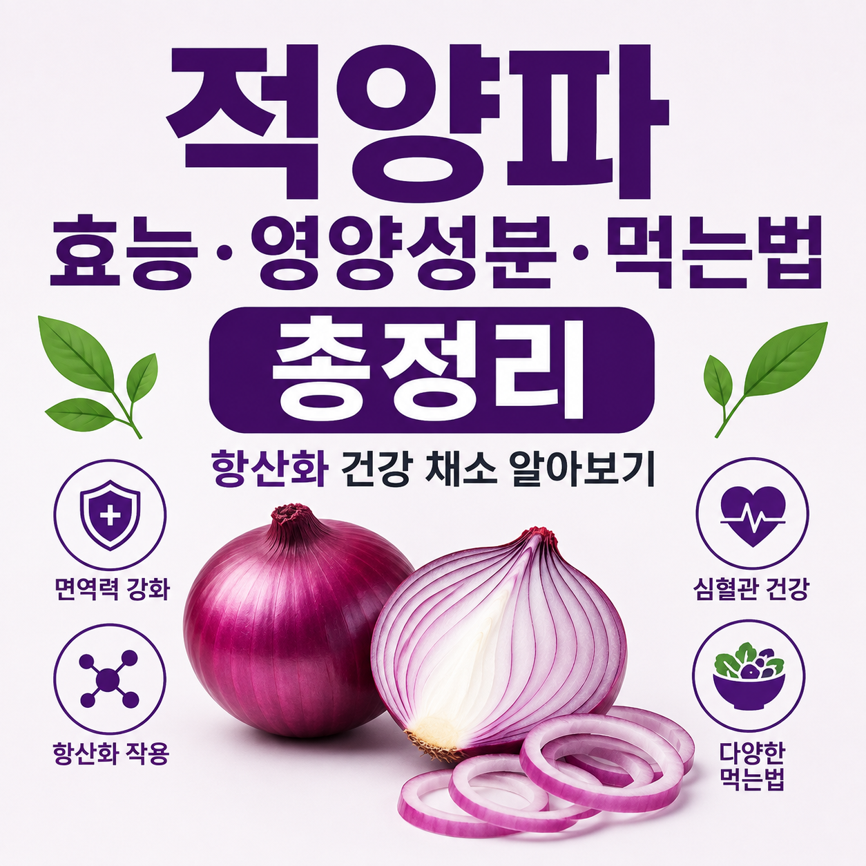 적양파 효능