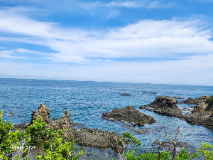 경주 가볼만한 곳 경주양남주상절리