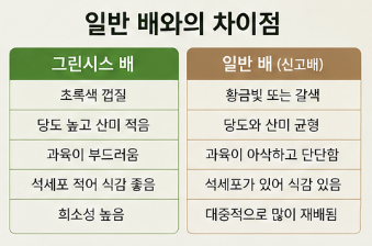그린시스 배 정체는? 전참시 이영자 초록배 가격·구매처 총정리5