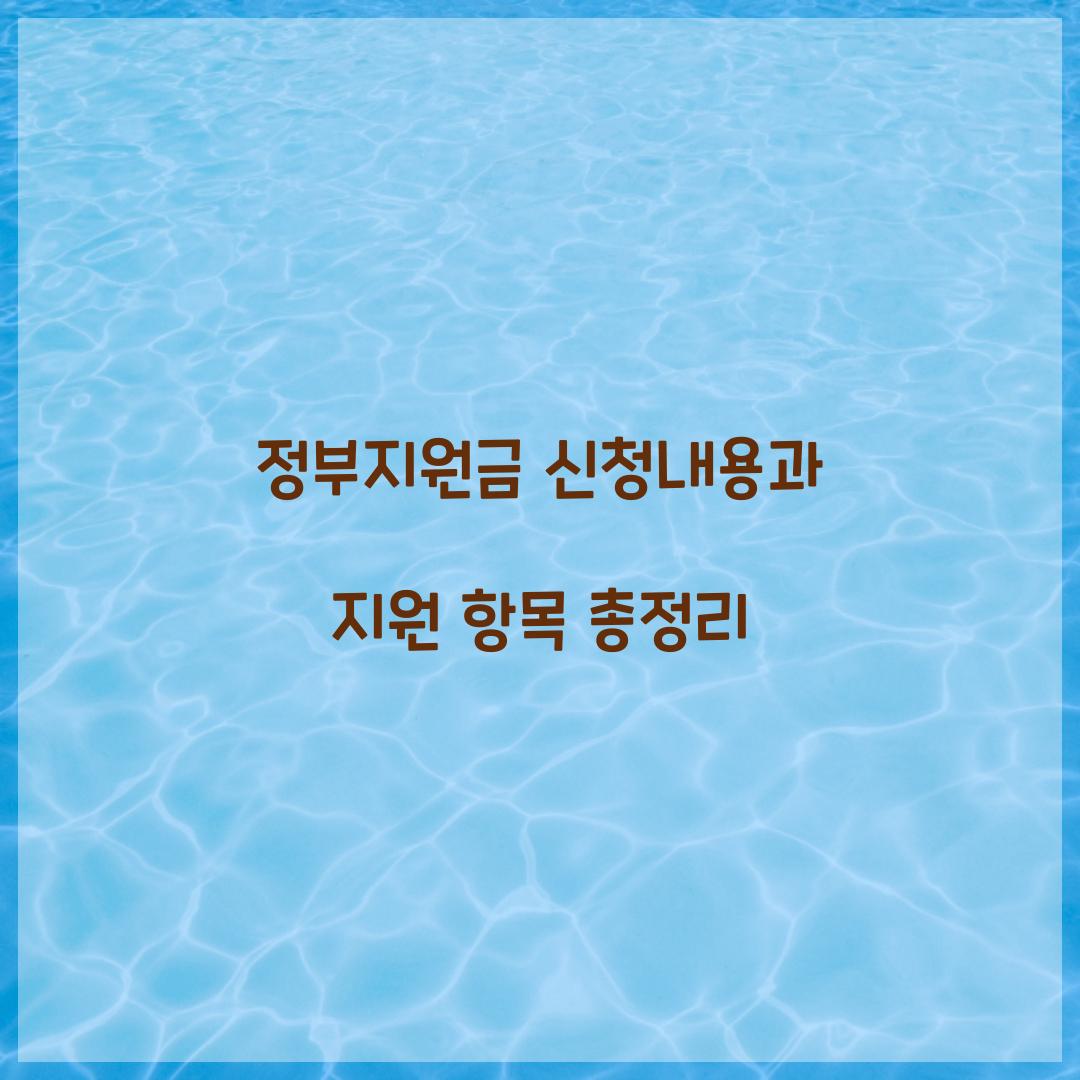 정부지원금 신청내용