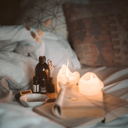 티트리 오일 효능