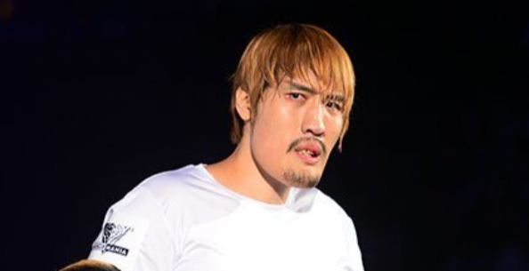 최홍만 키 나이 프로필