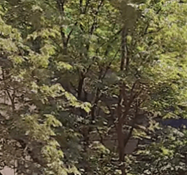 남산 케이블카 가는방법