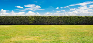 맨발 걷기 좋은 곳