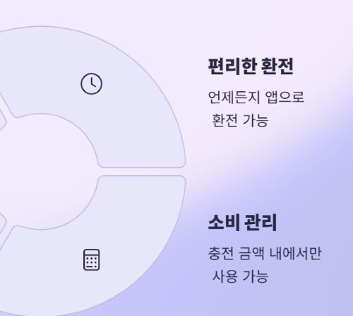 2025년 인기 트래블카드 4종 실사용 후기