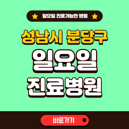 성남시 분당구 일요일 진료 가능한 병원 ❘ 주말 문여는 곳 총정리 (소아과, 내과, 안과, 치과, 피부과, 정형외과, 산부인과)