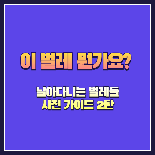 이 벌레 뭔가요? 날아다니는 벌레들 사진 가이드 2탄