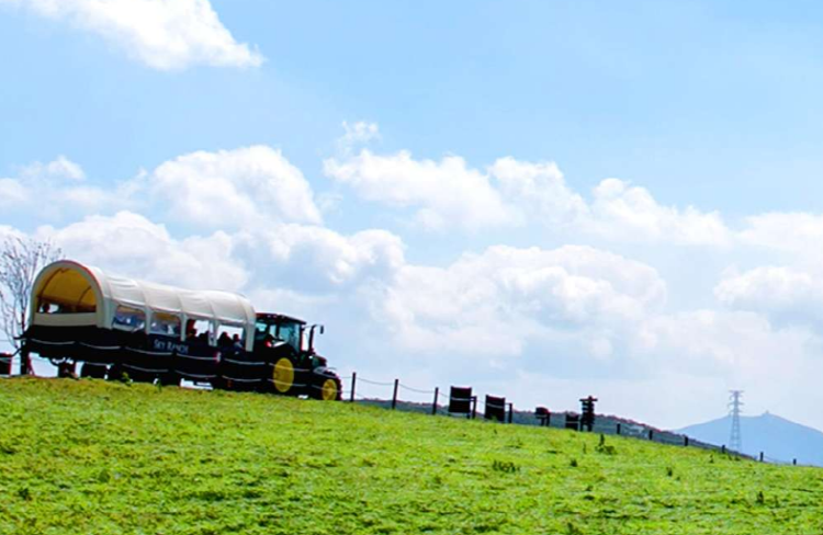 대관령 하늘목장