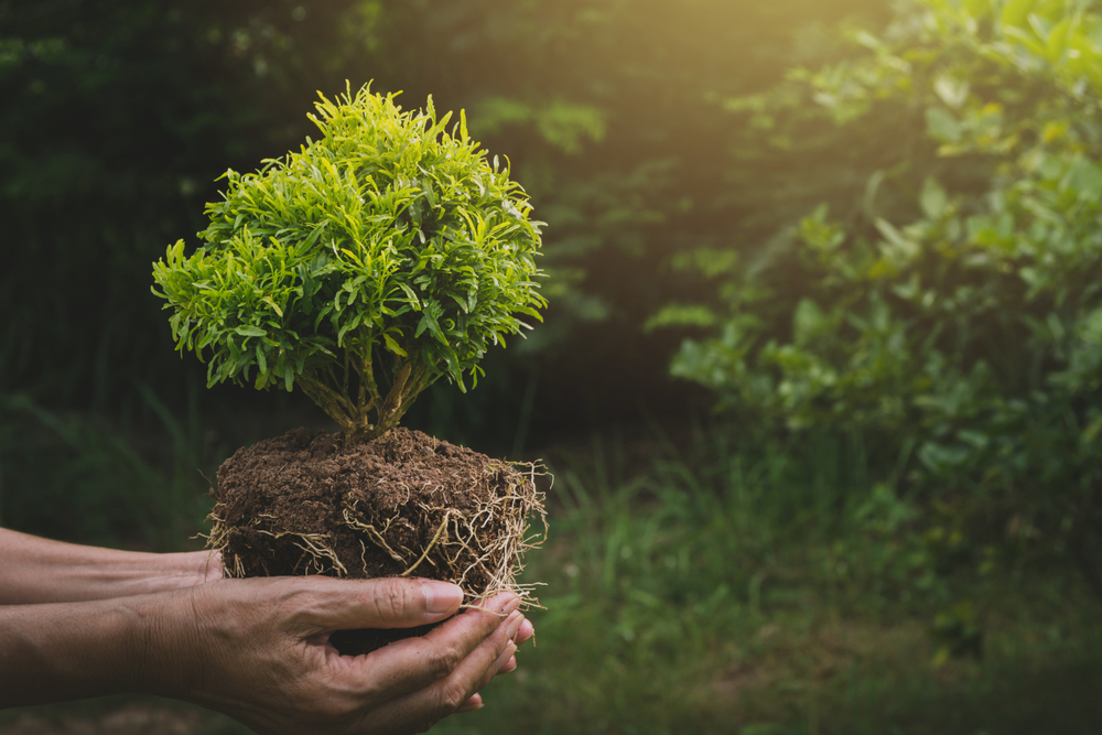 한 가지 친환경 에너지 솔루션은 태양광 에너지입니다. 태양광 에너지는 태양으로부터 얻어지는 에너지로, 태양 전지판을 통해 집에서 전기를 생산할 수 있습니다.