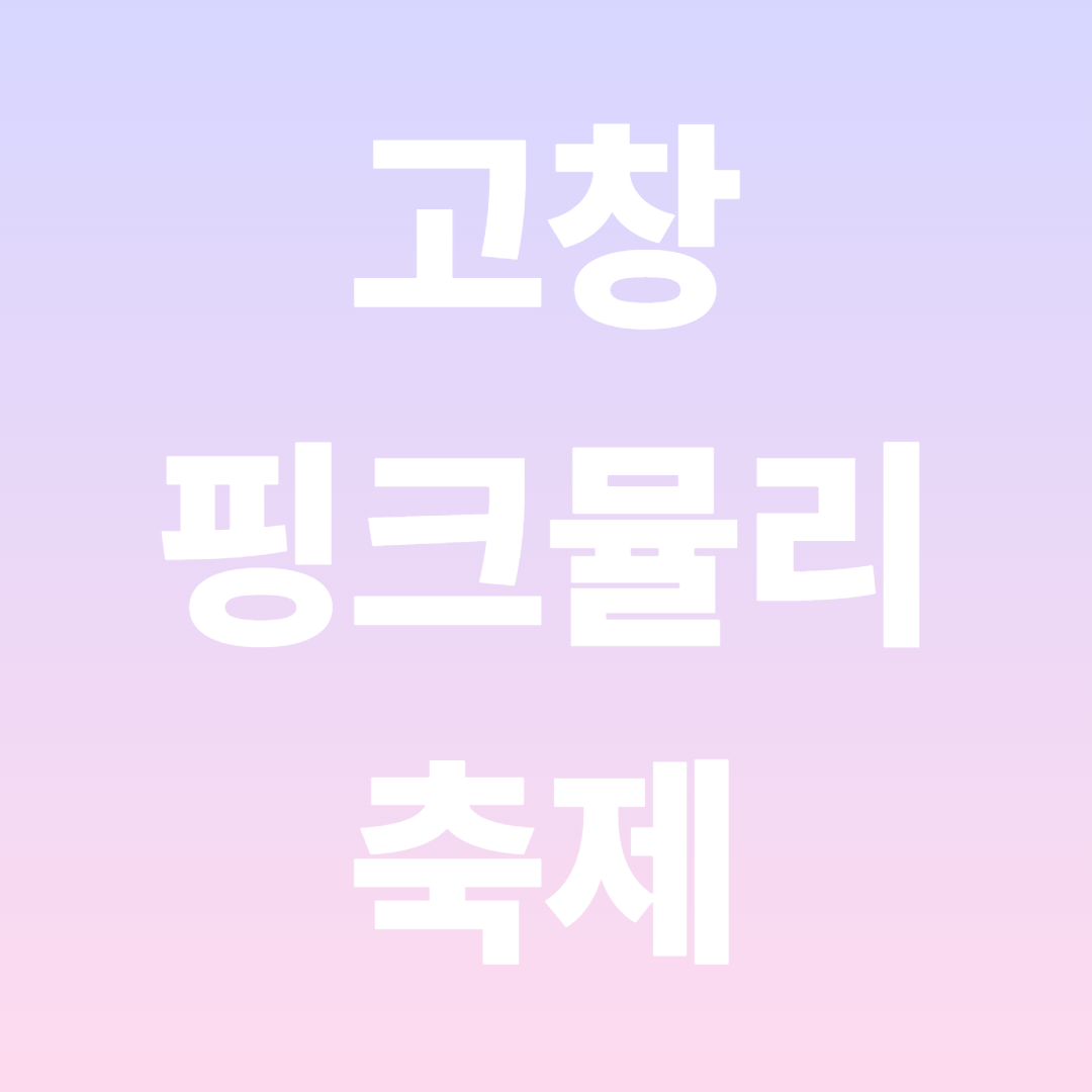 고창 핑크뮬리 축제 일정 총정리