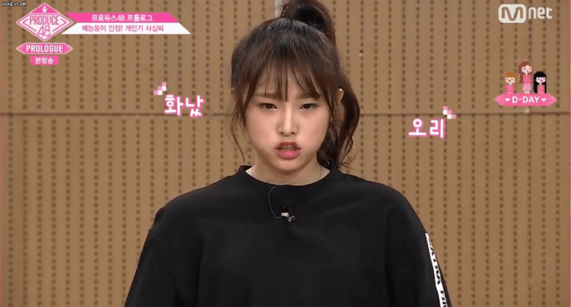 최예나 오리