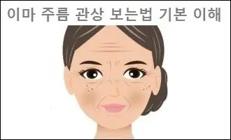 이마 주름 관상 보는법 기본 이해