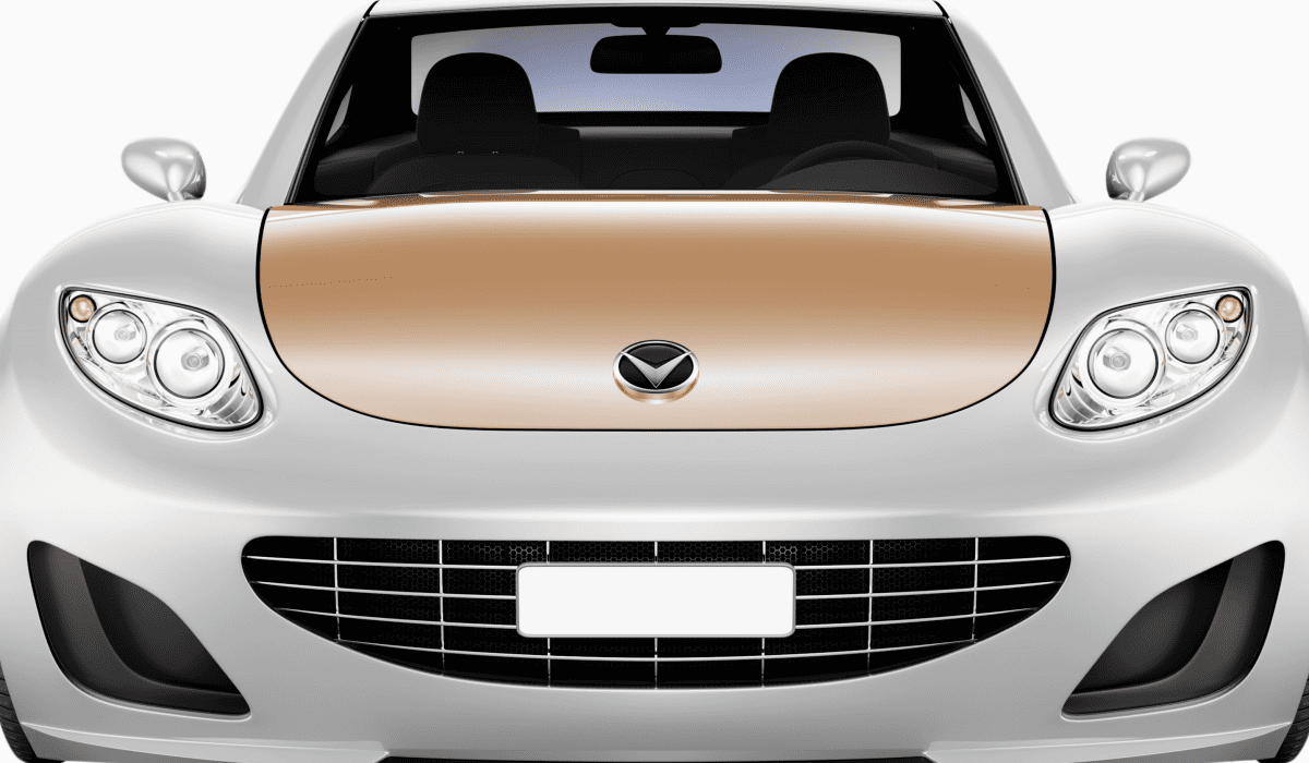 내차_시세조회_34