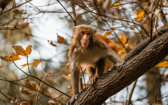 디즈니런 서울 2025 놓치면 후회하는 정보 11