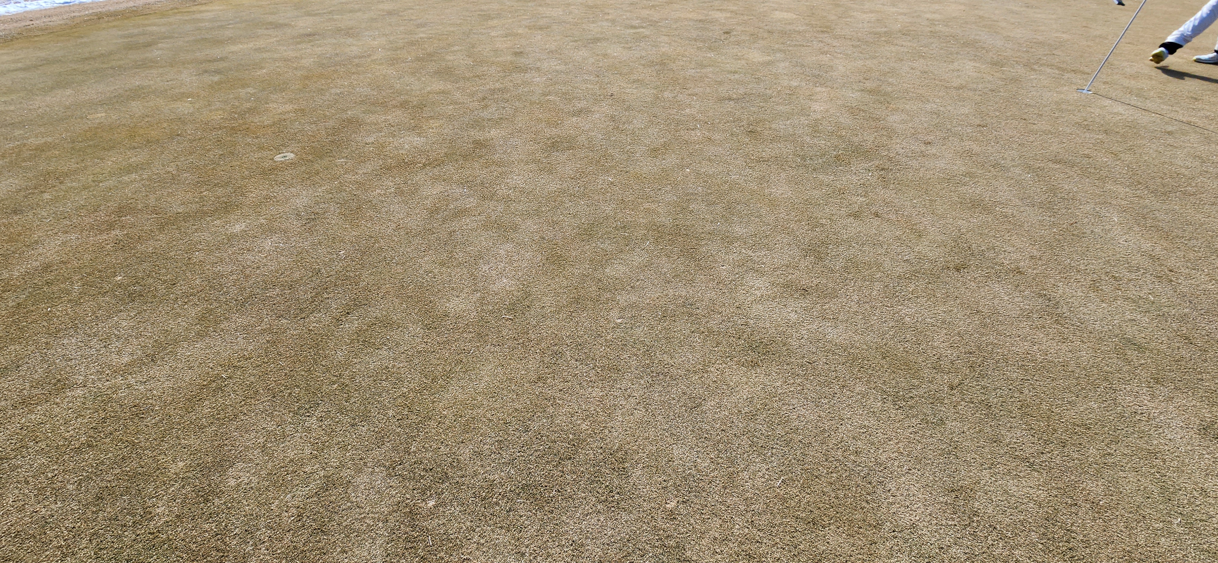 레이크사이드cc