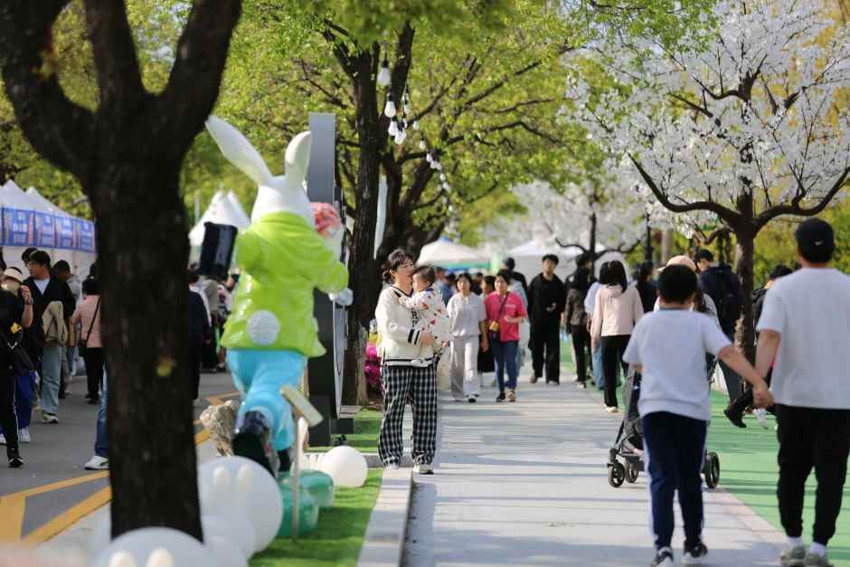 청춘양구 곰취축제