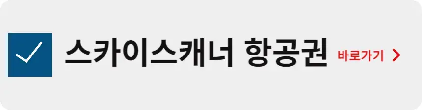 스카이스캐너 항공권